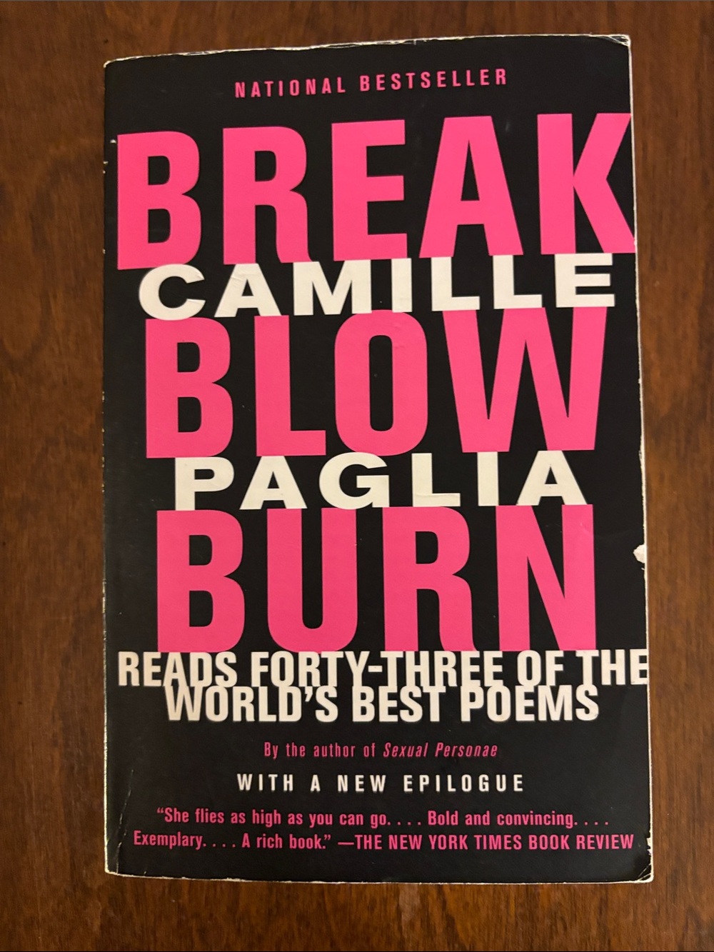 Break Blow Burn by Camille Paglia - Black & Hot Pink Cover
